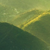 The Shire