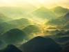 The Shire