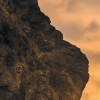 Golden Stacks