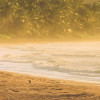 Golden Lands