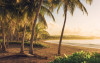 Golden Lands