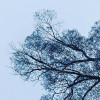 Blue Waters