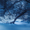 Blue Waters