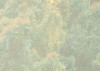 Madagascar Jungle