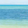 Palmy Beach