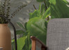 Palmy Beach