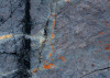 Abstract Sea