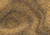 African Gold III