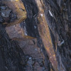 Colors of Earth VII