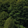 Bayrische Idylle