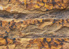 African Wall I