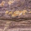 African Wall II