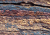 African Wall VIII