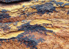 African Wall VIII