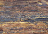African Wall VIII