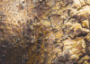 African Wall XII