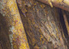 African Wall XII