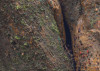 African Wall XIII