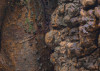 African Wall XIII
