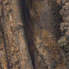 African Wall XIII
