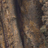 African Wall XIII