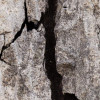 African Wall XIX