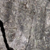 African Wall XIX