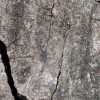 African Wall XIX