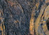 Colors of Earth V