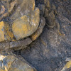 Colors of Earth V