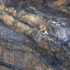 Colors of Earth V