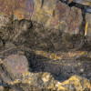 Colors of Earth V