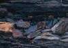 Colors of Earth VI