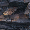 Colors of Earth VI