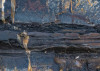 Colors of Earth VIII