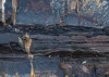 Colors of Earth VIII