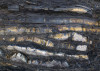 Colors of Earth VIII