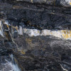Colors of Earth VIII