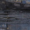 Colors of Earth VIII