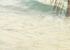 Palm Beach