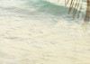 Palm Beach