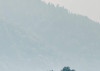 Promised Hills