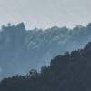 Promised Hills