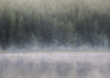 Scandi Wall