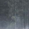 Scandi Wall