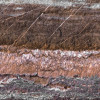 Secrets of the Desert V