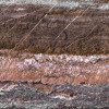 Secrets of the Desert V