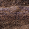Secrets of the Desert V