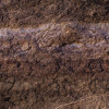 Secrets of the Desert V