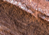 Secrets of the Desert VIII